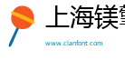 上海鎂擎